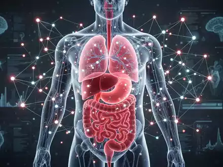 Ein stilisierter menschlicher Torso, der innere Organe und leuchtende neuronale Verbindungen zeigt, symbolisiert die Wechselwirkung von viszeralem Fett, kardiometabolischer und kognitiver Gesundheit. - Foto: über boerse-global.de