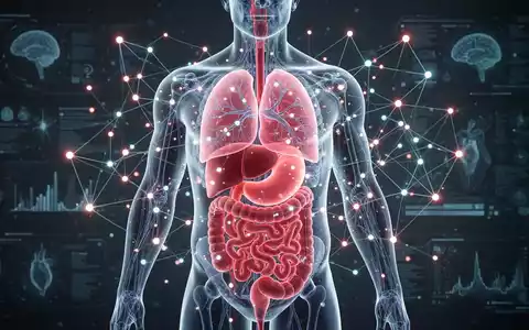 Ein stilisierter menschlicher Torso, der innere Organe und leuchtende neuronale Verbindungen zeigt, symbolisiert die Wechselwirkung von viszeralem Fett, kardiometabolischer und kognitiver Gesundheit. - Foto: über boerse-global.de