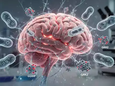 Ein detailliertes Bild eines menschlichen Gehirns mit leuchtenden neuronalen Netzen und mikroskopischen Ansichten von Zellen. - Foto: über boerse-global.de