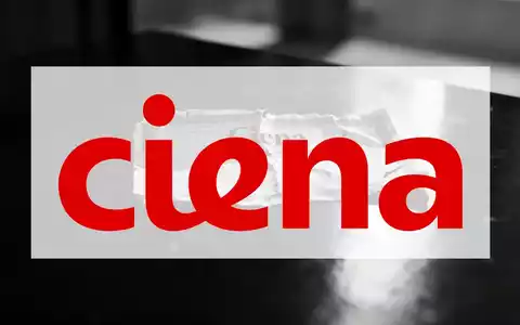 Ein zerknittertes und zerrissenes Ciena-Aktienzertifikat liegt auf einer dunklen Oberfläche und symbolisiert finanzielle Verluste. - Foto: über boerse-global.de