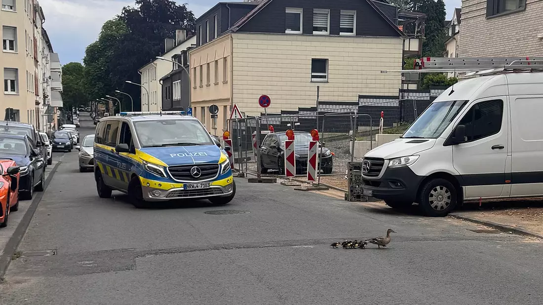 POL-HA: Ungewöhnlicher Einsatz: Polizei rettet Entenfamilie - Bild: presseportal.de