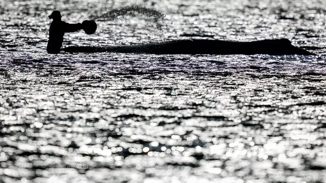 Wochenlang war vor der Insel Poel viel Trubel um den stark geschwächten Wal. (Archivbild) - Bild: Jens Büttner/dpa