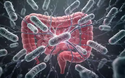 Mikroskopische Ansicht von Darmbakterien und Neuronen, die die Verbindung zwischen Mikrobiom und Gehirngesundheit symbolisiert. - Foto: über boerse-global.de
