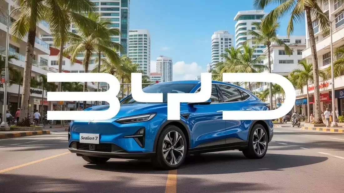 BYD Battery Share Solid, But Sales Slump and Europe Woes Hit Stock