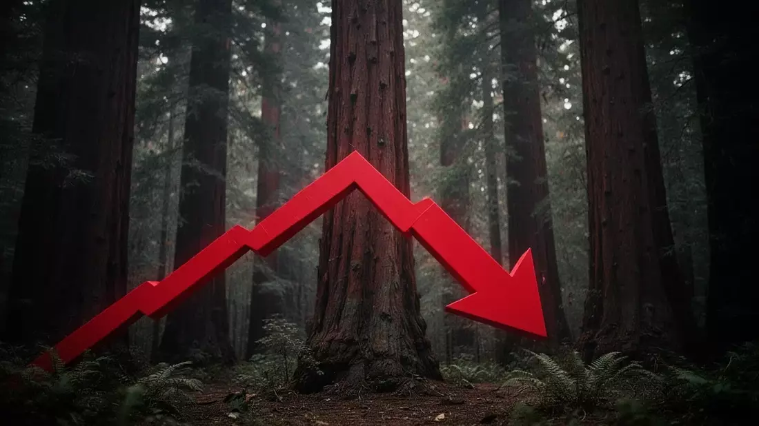 Redwood AI cae 25% en semana pese a campaña de comunicación de 114.000 dólares