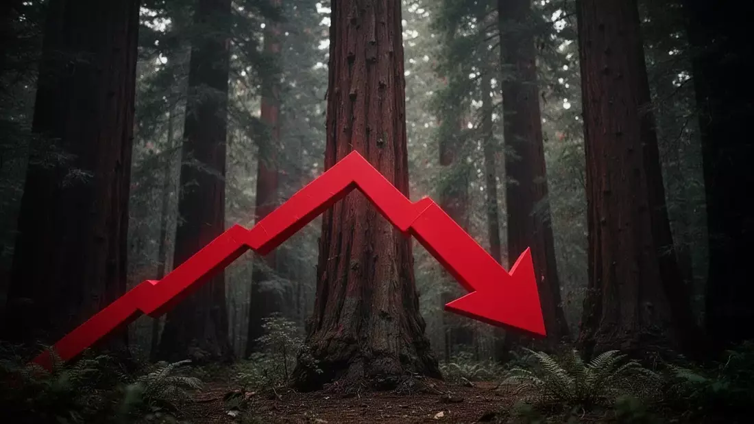 Redwood AI se desploma 7,5% por acuerdo no vinculante en África