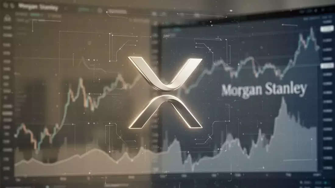 XRP Price Stagnant Despite Whale Accumulation and Ecosystem Growth