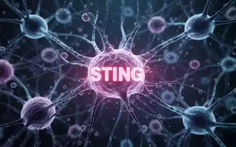 Mikroskopische Ansicht von Gehirnzellen und neuronalen Pfaden mit einem leuchtenden STING-Protein im Zellnetzwerk. - Foto: über boerse-global.de