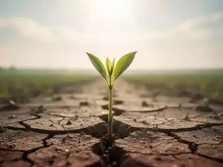 Ein zarter grüner Trieb bricht durch rissige, trockene Erde, symbolisiert Hoffnung und Prävention von Krankheiten. - Foto: über boerse-global.de