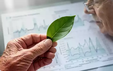 Eine ältere Hand hält ein grünes Blatt, mit unscharfem medizinischem Diagramm im Hintergrund, das Prävention und Gesundheit symbolisiert. - Foto: über boerse-global.de