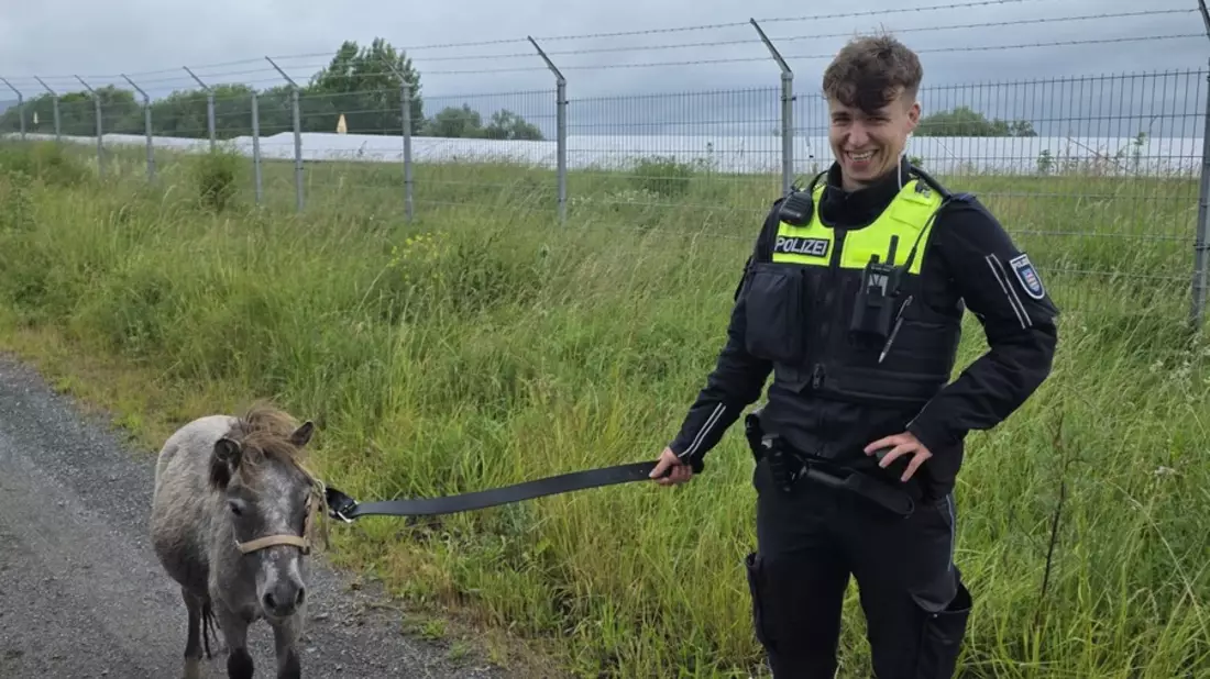 LPI-NDH: Ponystreife - Bild: presseportal.de