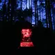 In der Nacht wird im Wald gelagert. - Bild: Kay Nietfeld/dpa