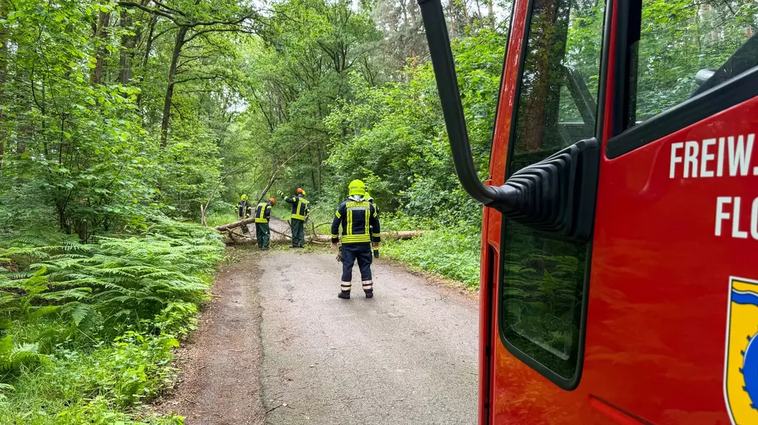 FW Flotwedel: Feuerwehren der Samtgemeinde Flotwedel an zwei Tagen bei technischen Hilfeleistungen im Einsatz - Bild: presseportal.de