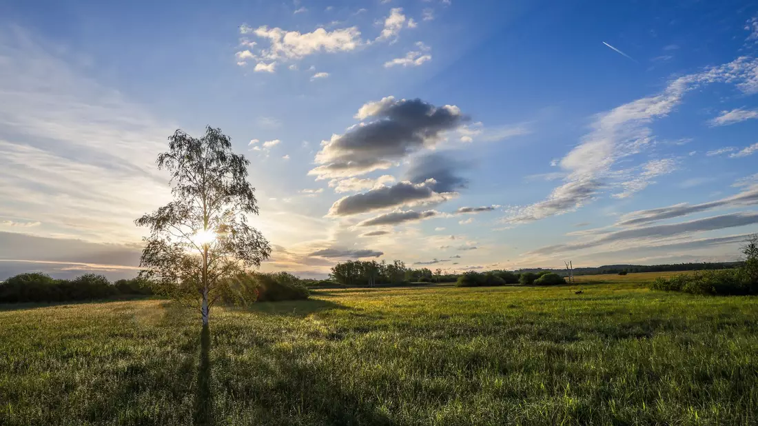Gerade im Süden Deutschlands zeigt sich die Sonne schon zum Wochenstart. - Bild: Thomas Warnack/dpa