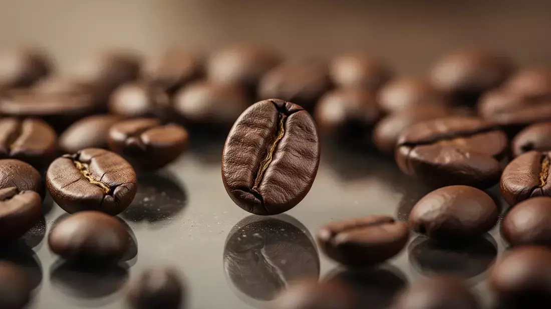 Kaffee-Preise steigen: Regen in Brasilien bremst Ernte aus