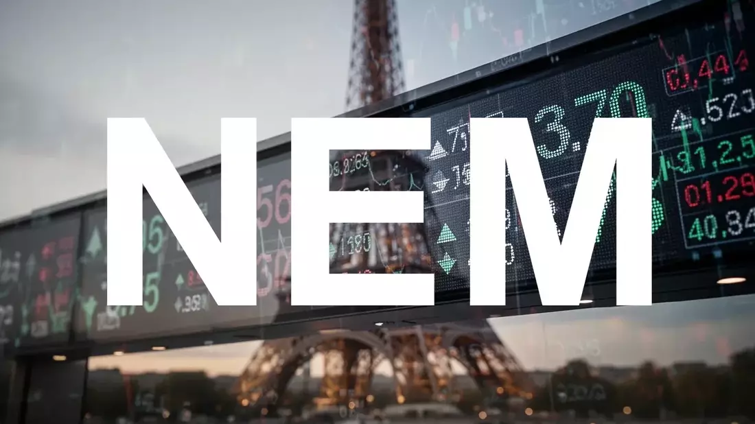 Nemetschek Stock Falls 37% Despite Strong Growth and $2.4B HCSS Deal