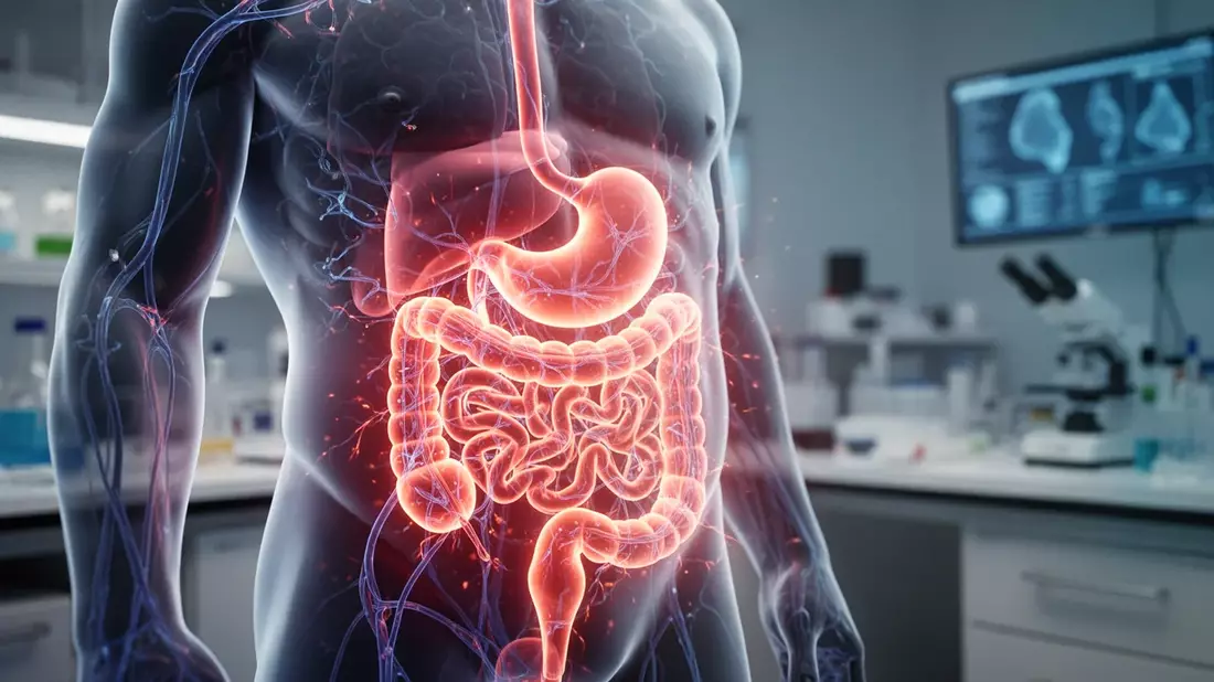 Gastroparese im Fokus: Neue Forschung und Klinikstreiks 2026