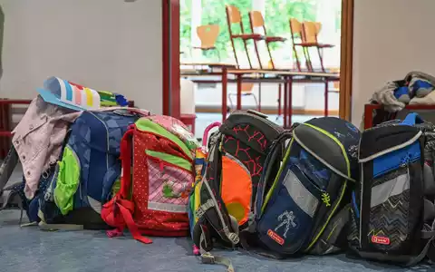 In Grundschulen werden schon nächstes Jahr sinkende Schülerzahlen erwartet. (Archivbild) - Foto: Arne Dedert/dpa