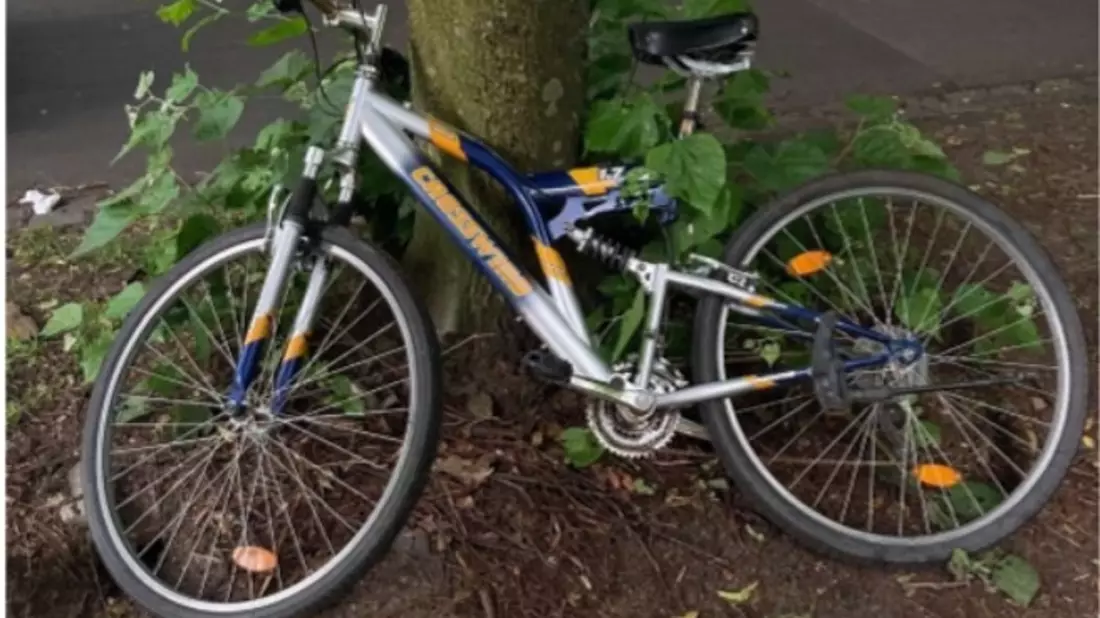 POL-MS: 5-Jähriger bei Fahrradunfall an der Hörsterstraße leicht verletzt - Polizei sucht flüchtigen Radfahrer - Wer kennt das abgebildete Fahrrad? - Bild: presseportal.de