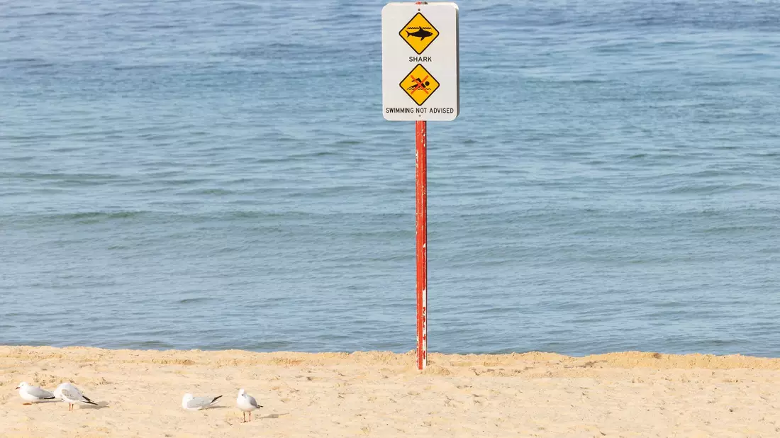 Nach dem Hai-Angriff wurde der betroffene Strand aus Sicherheitsgründen geschlossen. - Bild: Nadir Kinani/AAP/dpa