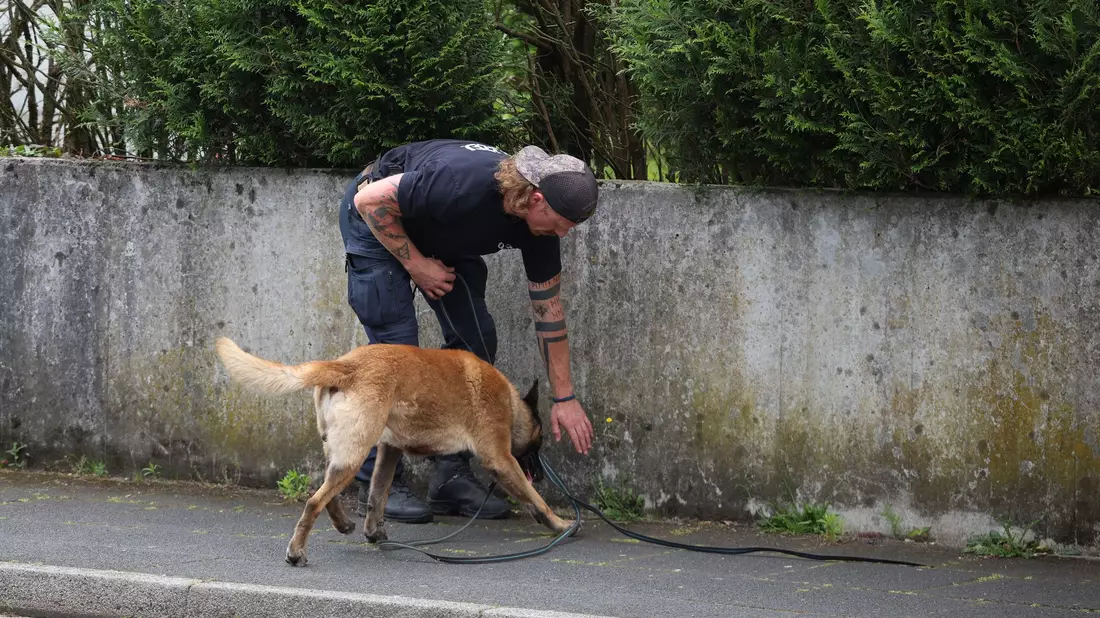 Ein Polizist sucht mit einem Spürhund nach Hinweisen. - Bild: Christoph Reichwein/dpa