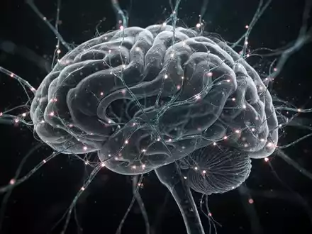 Abstrakte Darstellung von Nervenbahnen im Gehirn mit leuchtenden Verbindungen, die neurologische Behandlung symbolisieren. - Foto: über boerse-global.de