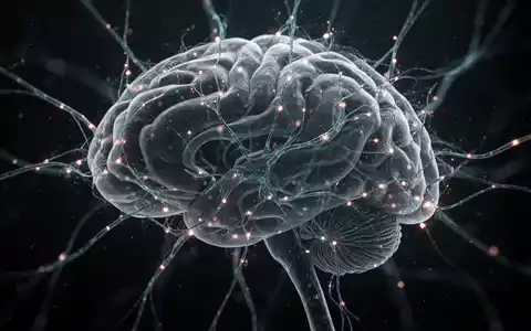 Abstrakte Darstellung von Nervenbahnen im Gehirn mit leuchtenden Verbindungen, die neurologische Behandlung symbolisieren. - Foto: über boerse-global.de