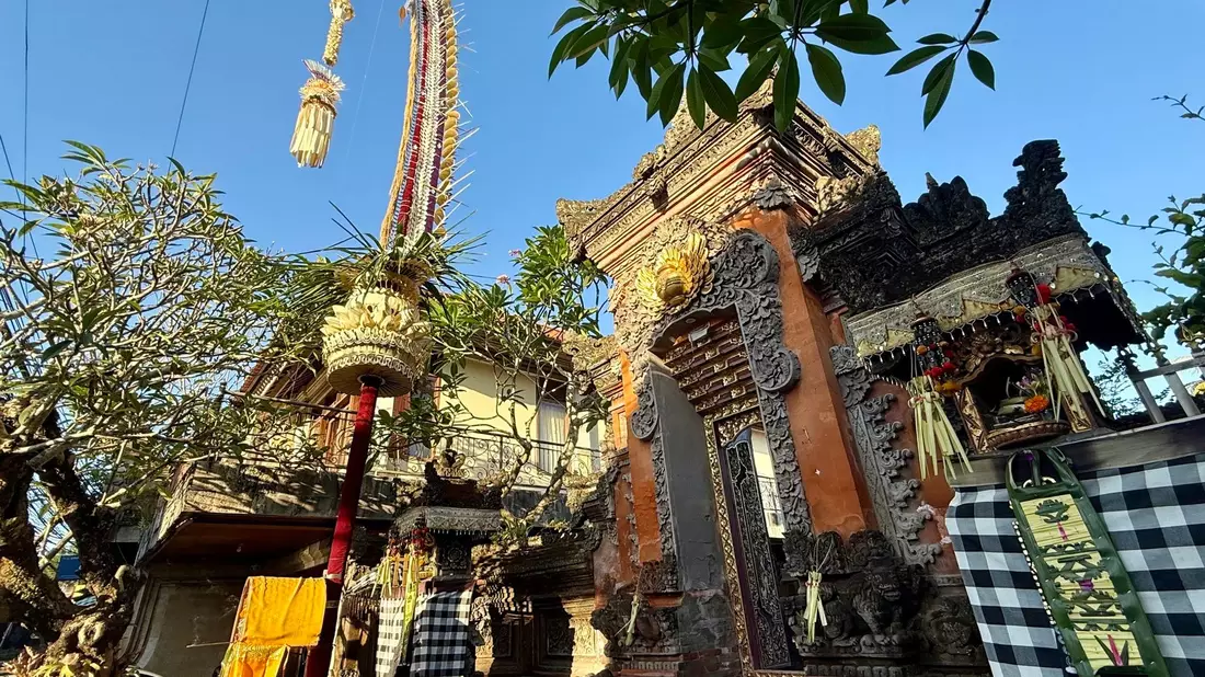 Die meterhohen, geschwungenen Penjor gehören auf Bali zum Galungan-Fest dazu. - Bild: Carola Frentzen/dpa