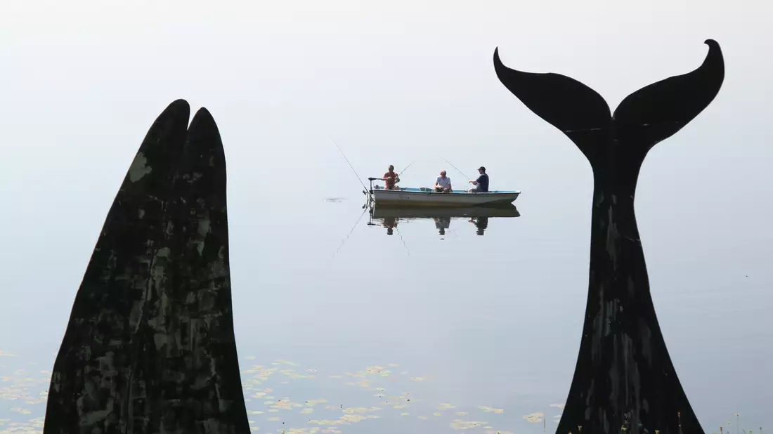 Mit dem Rad entdeckt: Kraftplätze am Wasser