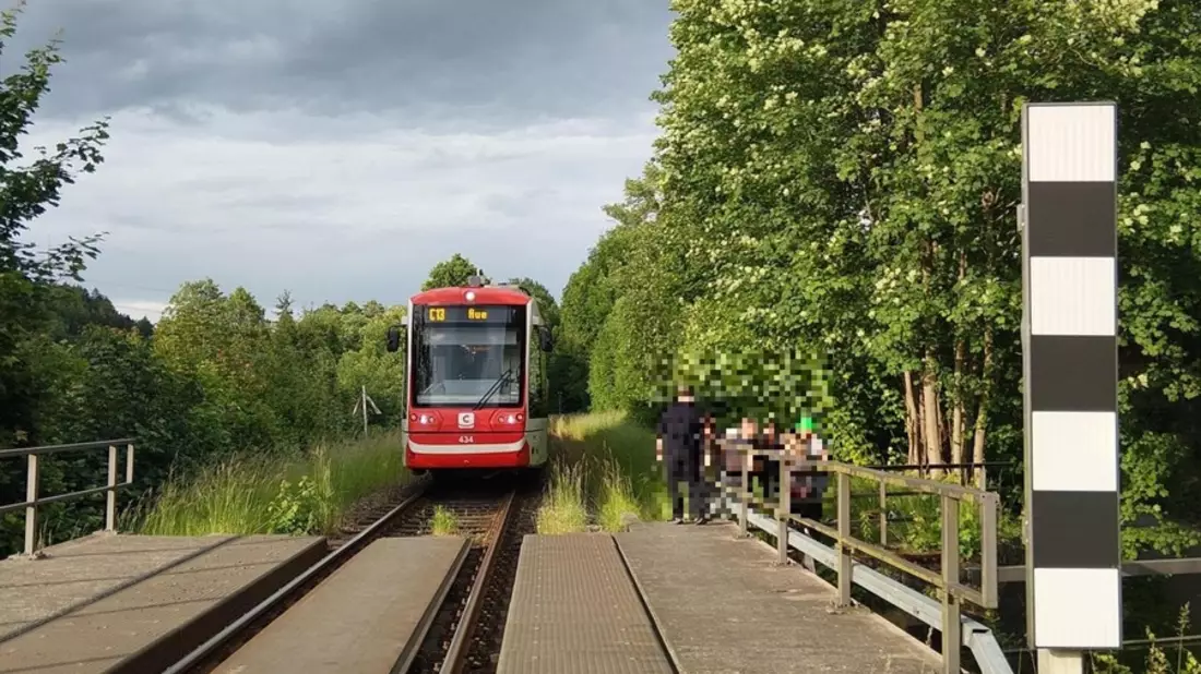 BPOLI C: Kinder mit Inliner auf Bahnbrücke - Bahn muss Gefahrenbremsung einleiten - Bild: presseportal.de