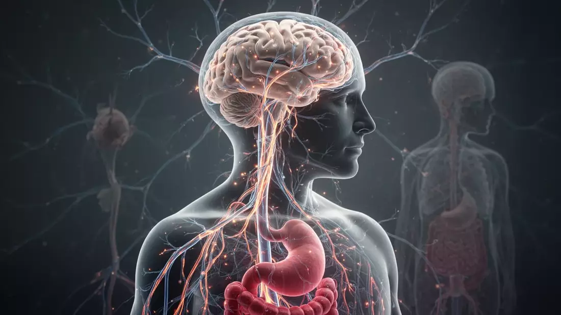 Vagusnerv-Aktivierung: Neue Wege gegen Stress und Bluthochdruck