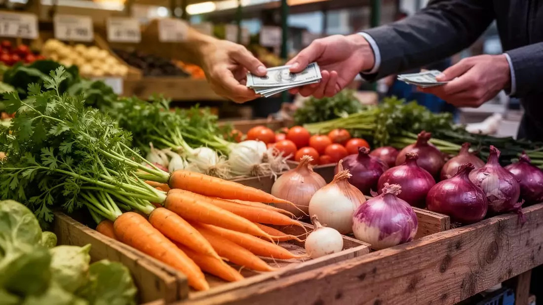 Bio-Lebensmittel: Rekordumsatz 2025 trotz wachsender Importabhängigkeit