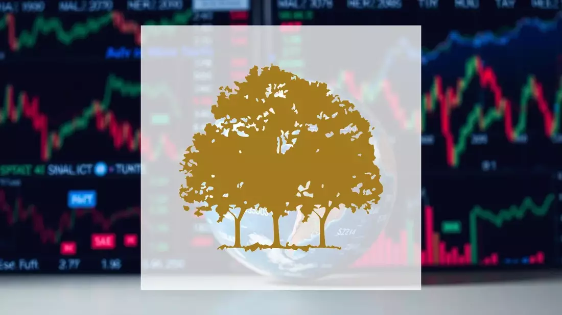 Canopy Growth: Verluste schrumpfen, Medizingeschäft boomt