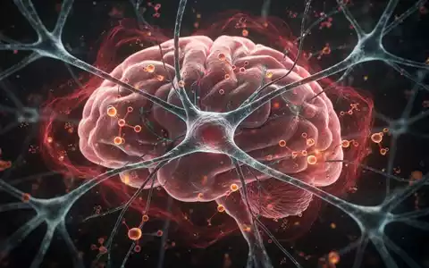 Abstrakte Darstellung von Gehirnzellen und Entzündungsprozessen, die zelluläre Seneszenz und neurologische Forschung symbolisiert. - Foto: über boerse-global.de