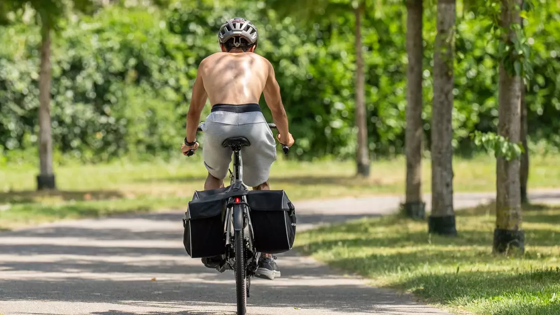 Am Donnerstag werden laut DWD Höchsttemperaturen von bis zu 38 Grad erwartet. (Symbolbild) - Bild: Silas Stein/dpa