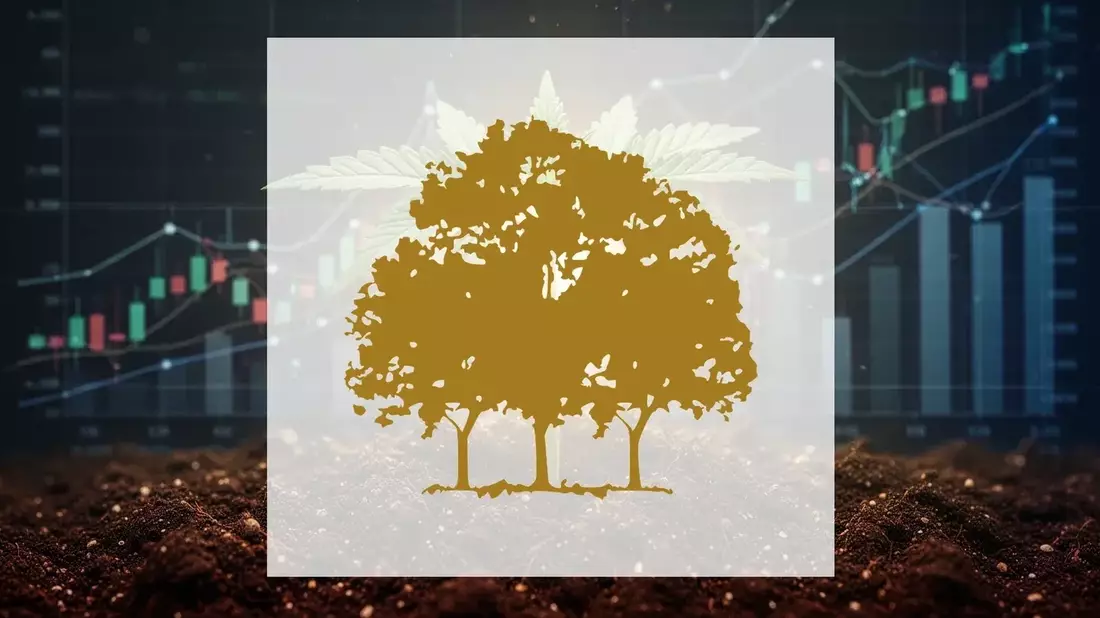 Canopy Growth Slashes Loss 80% but Stock Stays Near Low as Market Demands Profits