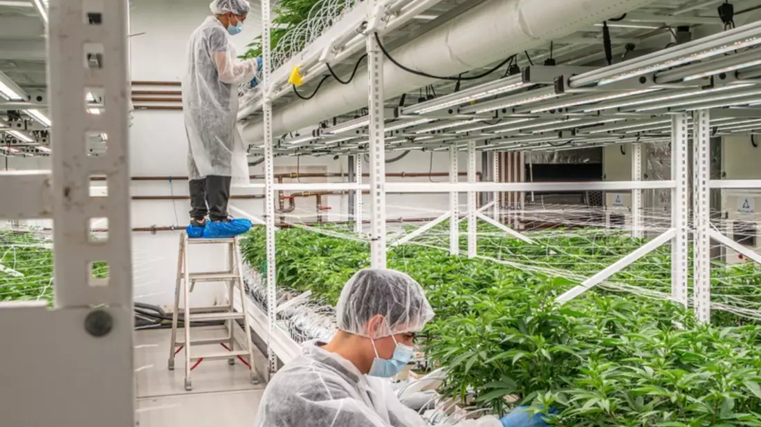 Cannabis auf Rezept - Versorgungsengpass in der Schweiz abgewendet - Bild: presseportal.de