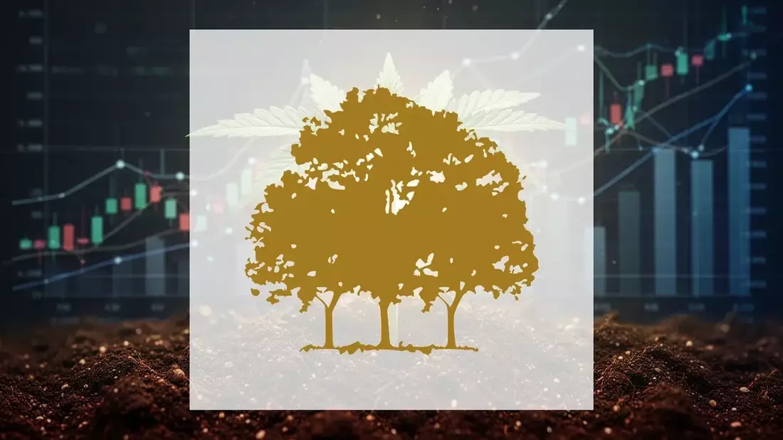 Canopy Growth Q4 Revenue Rises 10% Amid CEO, CFO Trading Ban
