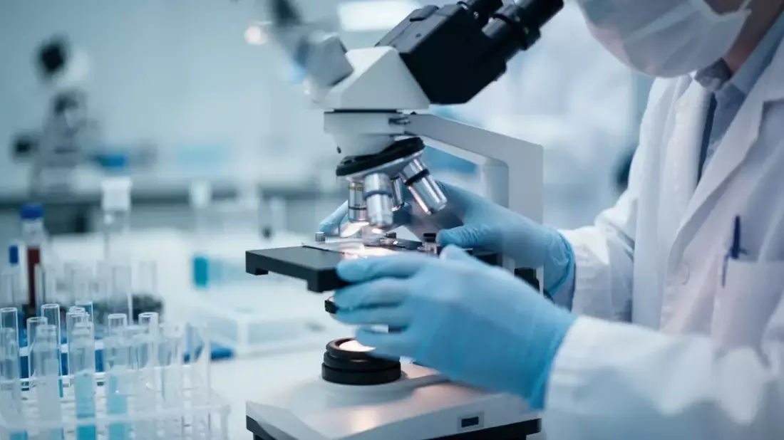 Palatin Technologies: Countdown für Adipositas-Zulassung läuft
