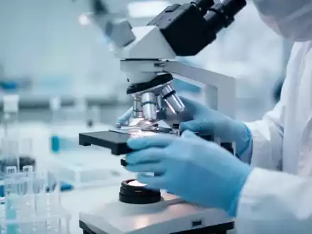 Hände eines Forschers, die ein Mikroskop in einem Labor einstellen, mit Fokus auf pharmazeutische Entwicklung. - Foto: über boerse-global.de