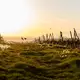 Schon am Morgen macht die Sonne mächtig Eindruck. (Archivbild) - Bild: Jörg Halisch/dpa