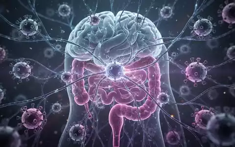 Abstrakte Darstellung der Darm-Hirn-Achse und des Immunsystems mit leuchtenden neuronalen Pfaden und Immunzellen. - Foto: über boerse-global.de