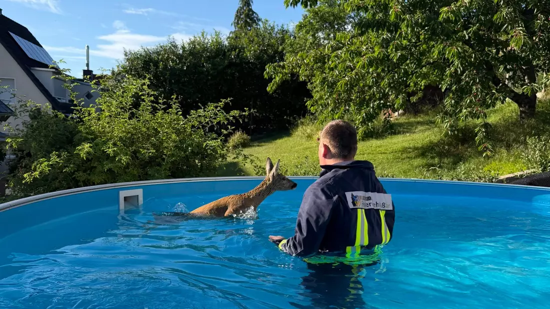 Der Ausflug ins kühle Nass endete für das Rehkitz mich reichlich Stress. (Foto Feuerwehr Aßlar/dpa) - Bild: --/Feuerwehr Aßlar/dpa