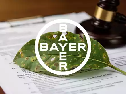 Nahaufnahme eines grünen Blattes mit unscharfem Gerichtsdokument oder Richterhammer im Hintergrund, symbolisiert Glyphosat-Rechtsstreit. - Foto: über boerse-global.de