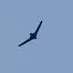 Trotz des US-Deals mit dem Iran gehen die Auseinandersetzungen zwischen Israel und der Hisbollah im Libanon weiter. (Archivbild) - Bild: Hussein Malla/AP/dpa
