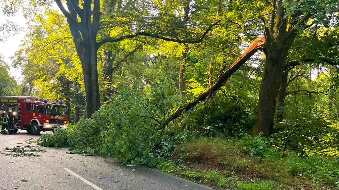 FFW Schwalmtal: Drei sturmbedingte Einsätze nach nächtlicher Gewitterfront - Bild: presseportal.de