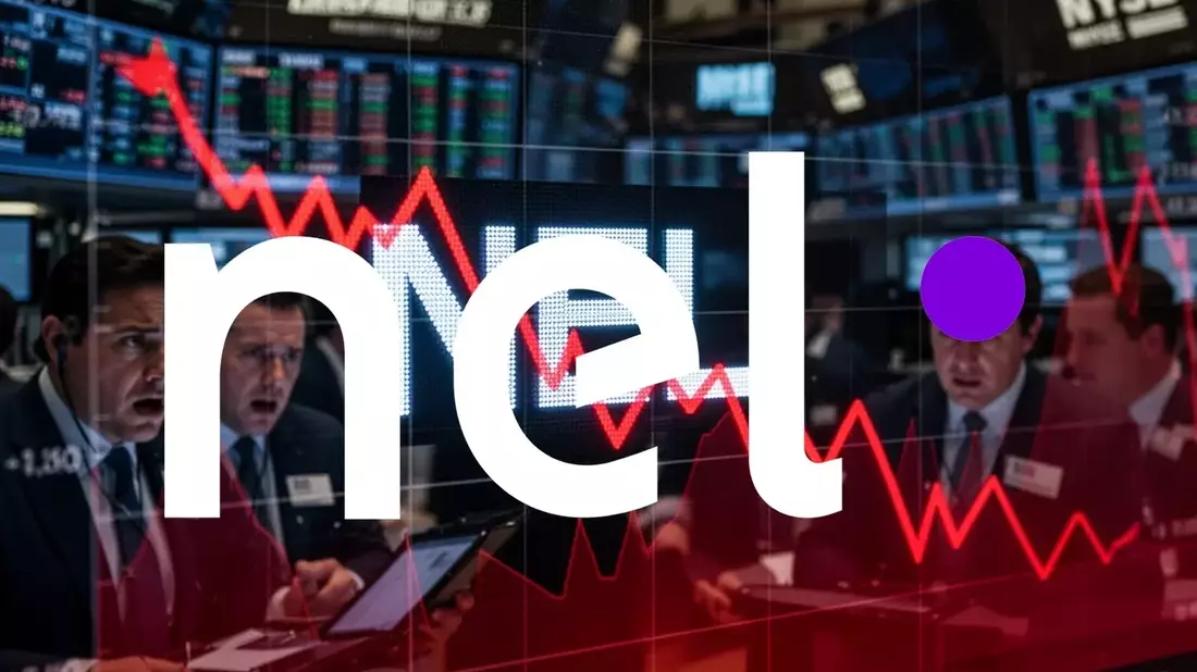 Nel ASA CEO Håkon Volldal Leaves; Search for Successor Amid Expansion