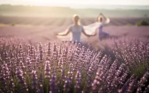 Ein sonnenverwöhntes Lavendelfeld in voller Blüte mit einer verschwommenen Person, die im Hintergrund meditiert oder achtsame Bewegungen ausführt. - Foto: über boerse-global.de
