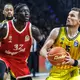 Einen heißen Kampf lieferten sich Alba Berlin und Bayern München. - Bild: Andreas Gora/dpa