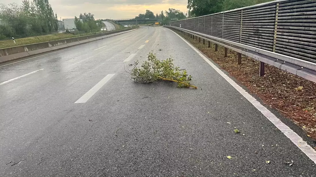 FW Reichenau: Ast auf Fahrbahn nach Gewitter - 19.06.2026 - Bild: presseportal.de